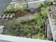 Room for rental in compostela