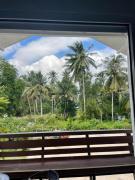 Harmony fun& Healing