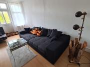 Top Adelsheim