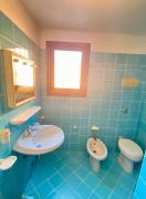 Top Capo Coda Cavallo