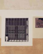 Anticca Rural hasta 11 personas