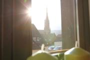 Top Würzburg