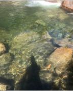 Top Visconde De Maua