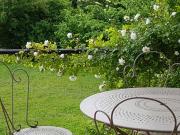 Temps de Pause - CAMPAGNE