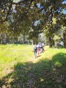 Top Binsar