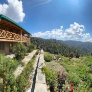 Top Binsar