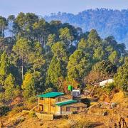 Top Binsar