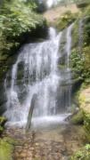 Top Binsar