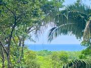 Sinfonía Tropical, ocean view, 5 minutes driving to Playa Linda, 15 to Dominical, wifi Starlink
