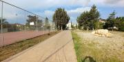 Top Paralimni