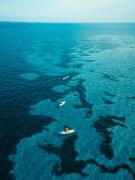 Top Isla Barú