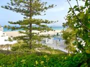 Top Alcudia