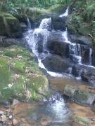 Top Nova Friburgo