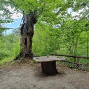 Le sorgenti - Bungalow in sasso