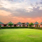 Top Jodhpur Top Jodhpur