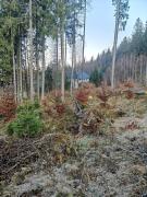 Top Kašperské Hory