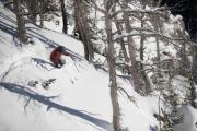 Top Alpine