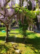 Top Roquebrune-Cap-Martin