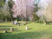 Top Beaurainville