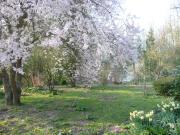 Top Beaurainville