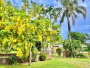 St Lucia Holiday Cottage