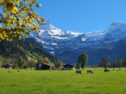 Burgbühler Guesthouse