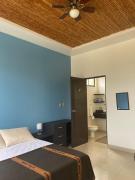 Top Tamarindo Airport