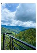 Top Shimla