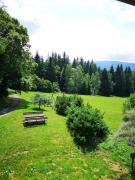 Top Kašperské Hory