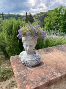 Top Monte Santa Maria Tiberina