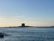 Top Codaruina Top Codaruina