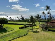 Top Lahaina