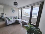 Top Temuco Top Temuco