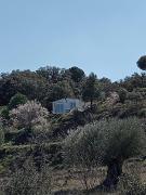 Natural House - Disconnection