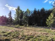 Cabaña Valdivia Piedra Blanca 1