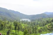 Lake View Homestay
