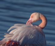 Top Quartu SantʼElena Top Quartu SantʼElena