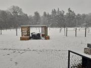 B&B Bourgondisch Lomm