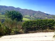 Top Dicomano Top Dicomano