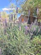 Cabañas Posada del Angel