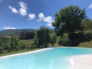Top Canavaccio di Urbino
