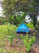 Nosso Quintal Candeias - Camping