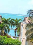 Le Dauphin - Vu mer accès plage à pied