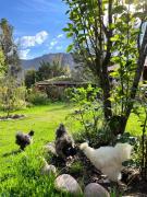 Top Urubamba