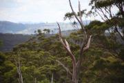 Top Sandy Flat