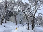 Top Mount Buller