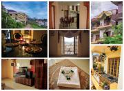 Top Ooty