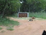 NAKO Safari Lodge