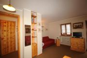 Charming Alpine Studio Flat - La Thuile