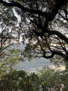 Top Nainital